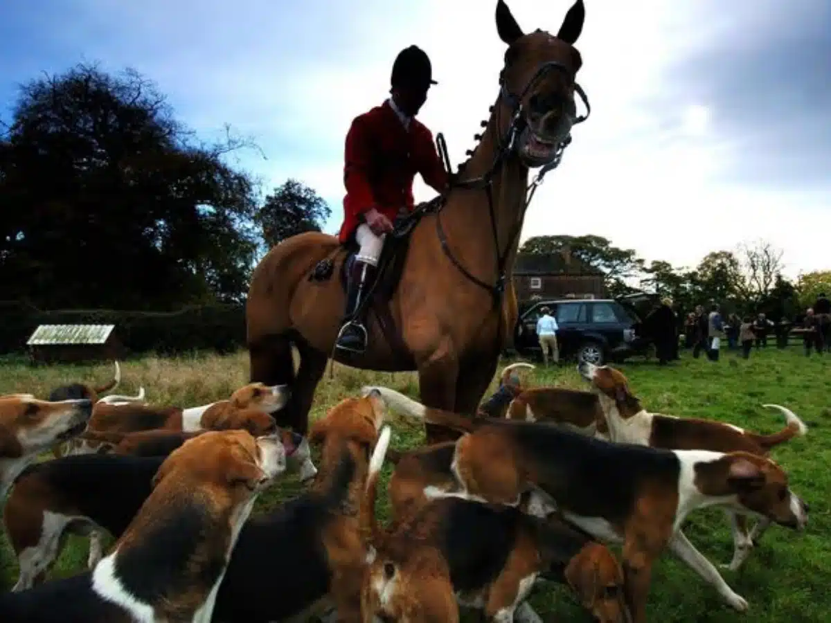 Fox hunt 'desecrates' tranquil burial site