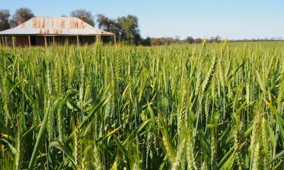 Opinion: Tension, tariffs fuel uncertainty