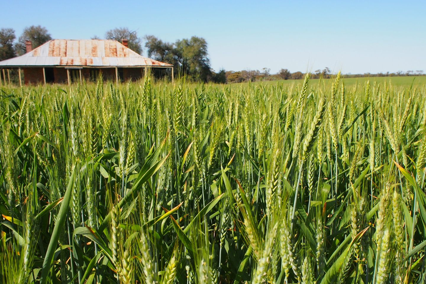 Opinion: Tension, tariffs fuel uncertainty