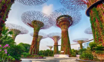 How Singapore's Private Limited (Pte Ltd) Structure Enables Full Foreign Ownership