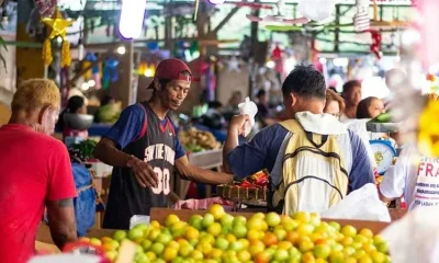 Adding or Modifying Business Activities Post-Incorporation in the Philippines