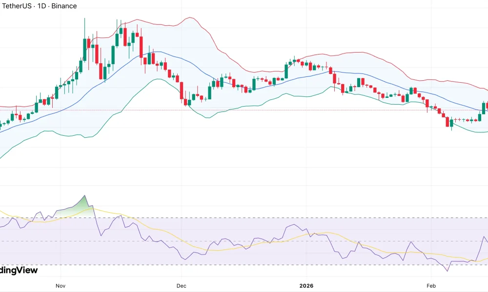 Zcash price tests resistance near $300 as shielded pool expands to 30% of supply - 1