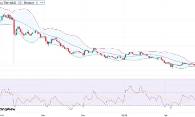 Cardano price slides 71% in 6 months but whales accumulate $213M in ADA— is a reversal brewing? - 1