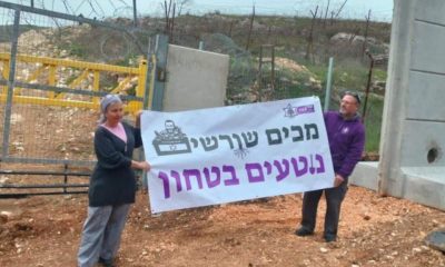 Israeli colonisers plant trees in Lebanon in land-grab attempt