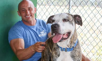 The Hidden Crisis in Small-Town Animal Shelters