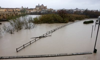Farmers report ’catastrophic’ damage to crops as Storm Marta hits Spain and Portugal