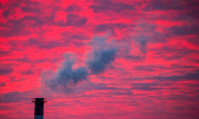 Trump revokes basis of US climate regulation, ends vehicle emission standards