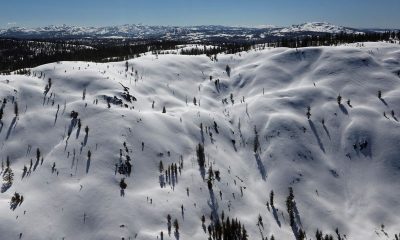 Eight skiers confirmed dead in California avalanche, one still missing