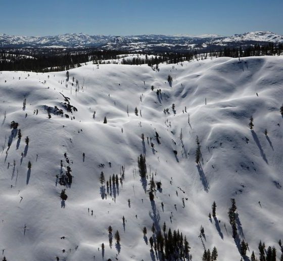 Eight skiers confirmed dead in California avalanche, one still missing