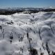 Eight skiers confirmed dead in California avalanche, one still missing