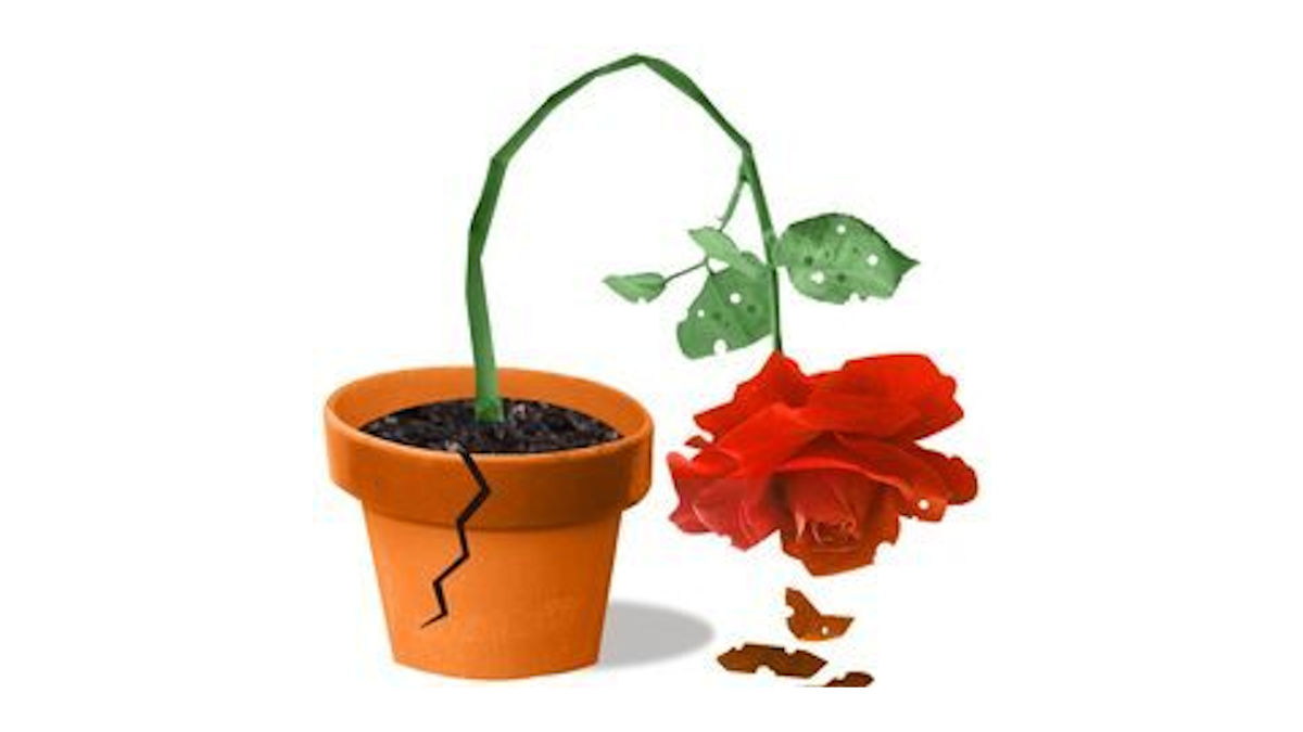 Can Starmer ever get it right first time in his U-turn administration?