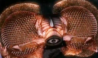 The Strangest Ship In Sci-Fi Is From The Most Insane Series Of The 90s