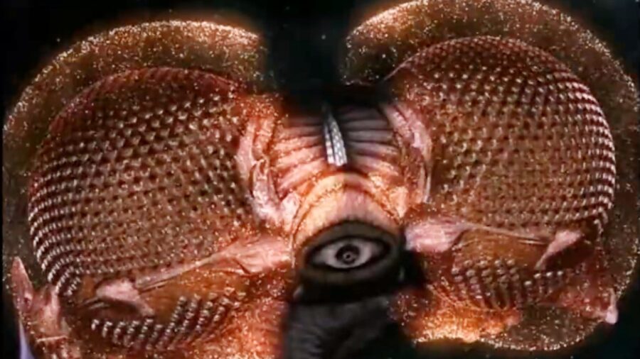 The Strangest Ship In Sci-Fi Is From The Most Insane Series Of The 90s