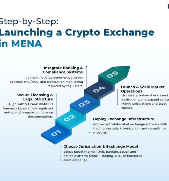 MENA Crypto Market info