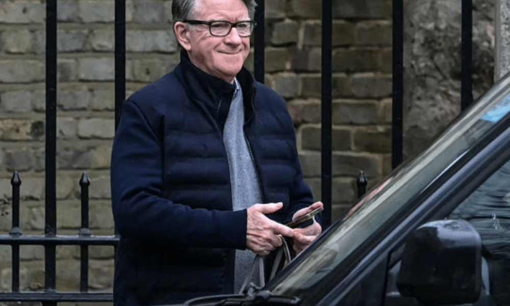Mandelson trade deals must be examined, says campaigner