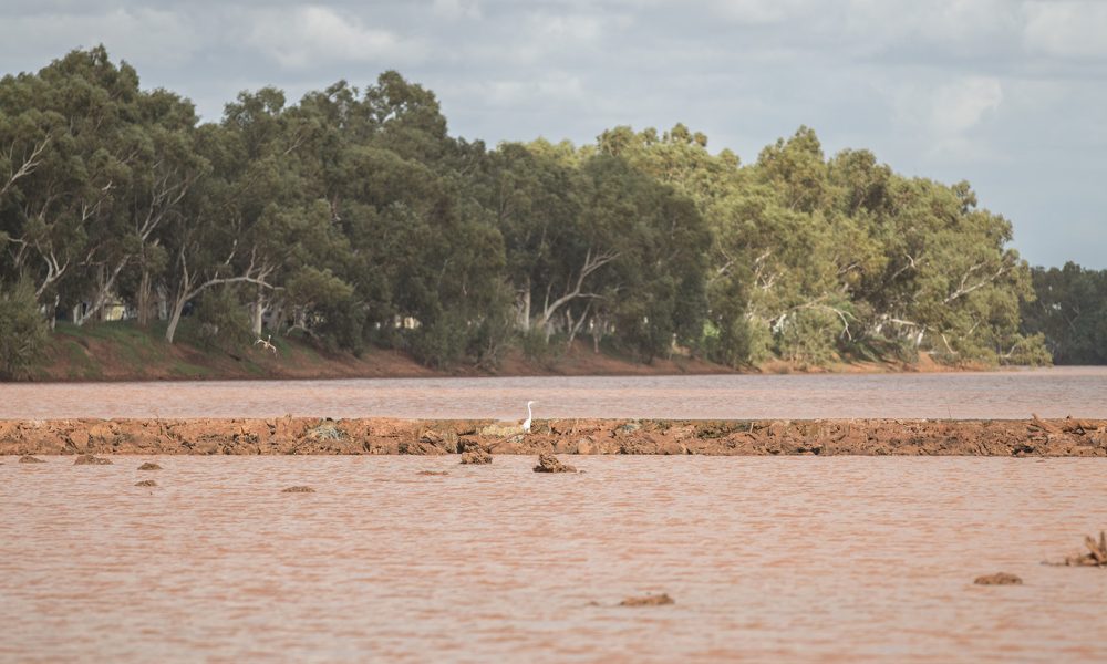 Forrests’ Minderoo weirs stoush nears end