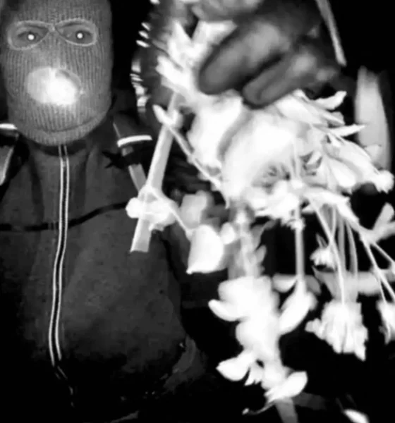 Security footage of Guthrie abduction suspect