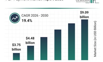 P2P Payment Market Report