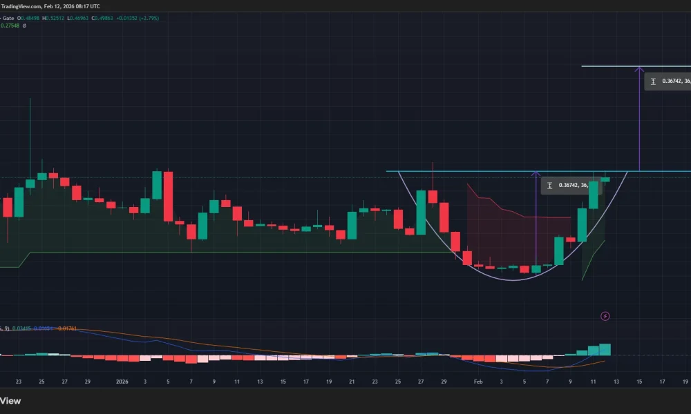 PIPPIN price has confirmed a rounded bottom pattern on the daily chart.
