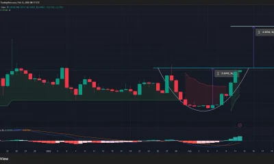 PIPPIN price has confirmed a rounded bottom pattern on the daily chart.