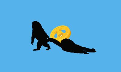 Is PUNCH token the new Moo Deng?