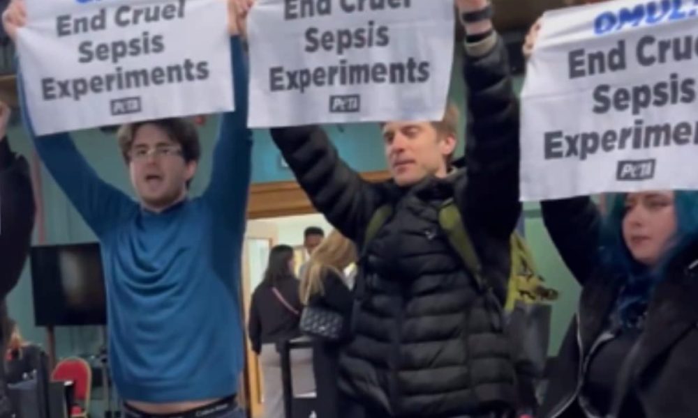 PETA again calls out uni over 'cruel and pointless' mice experiments