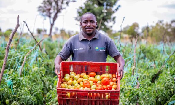 Regenerative agriculture sows success in Kenya