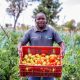 Regenerative agriculture sows success in Kenya