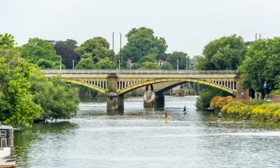 Dad said 'let them die' while throwing daughter's kittens off bridge | News UK