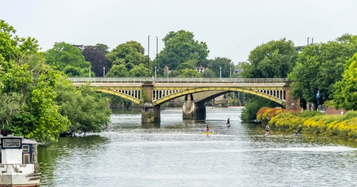 Dad said 'let them die' while throwing daughter's kittens off bridge | News UK