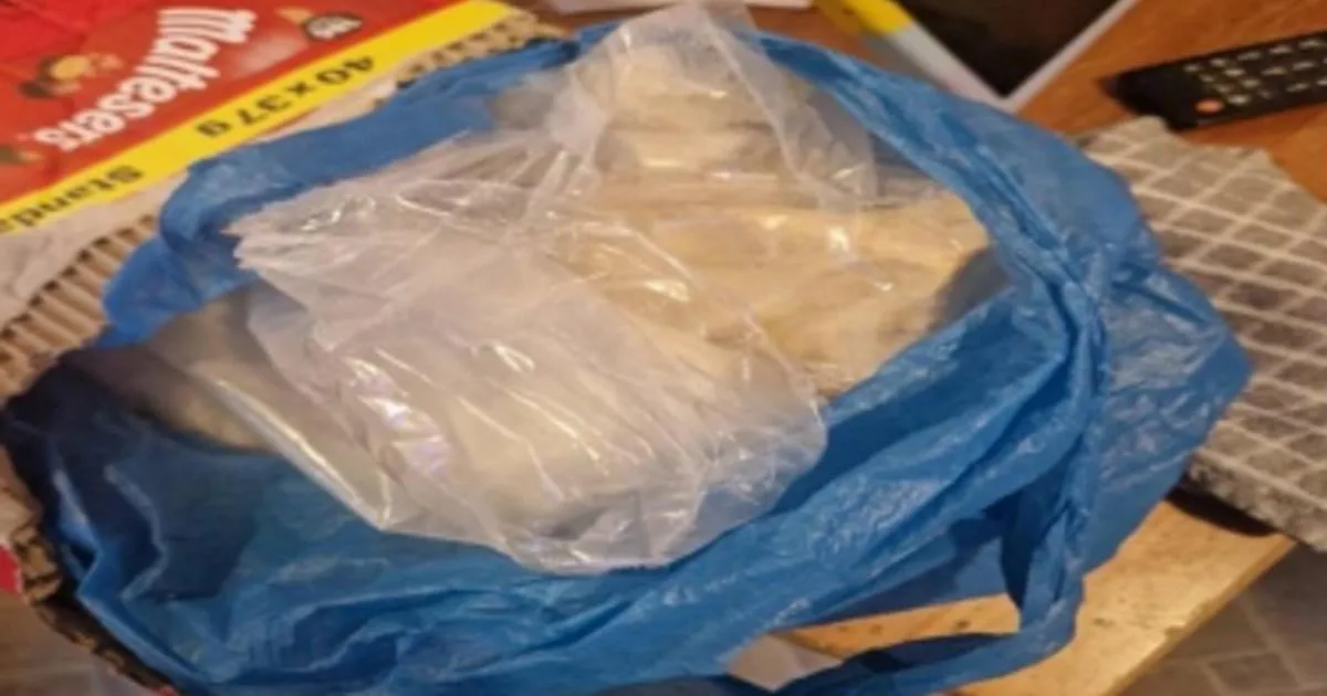 Drug dealer inspired by Home Alone booby-trapped home with tripwires and pipe bombs | News UK