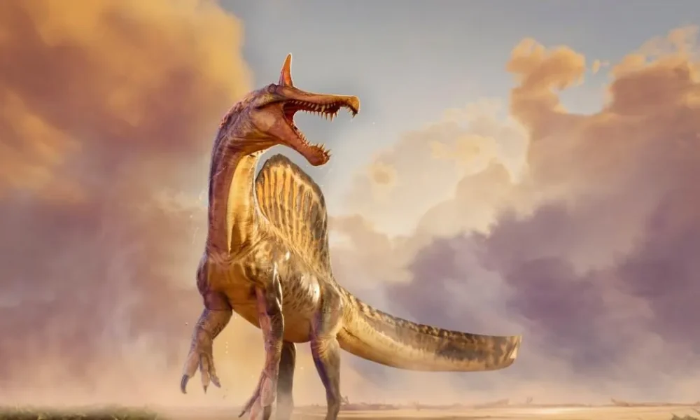 New dinosaur from 95,000,000 years ago may have been 'first dragon' | News Weird