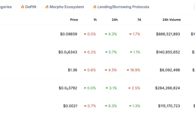 total meme coin market cap