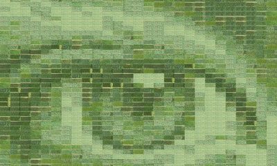 A field of wheat becomes the world’s largest living photograph - Positive News