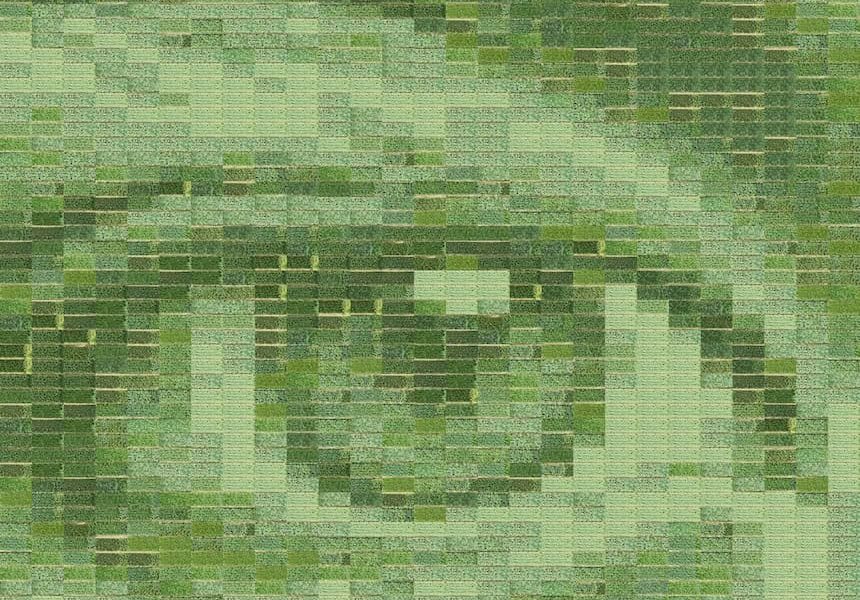 A field of wheat becomes the world’s largest living photograph - Positive News