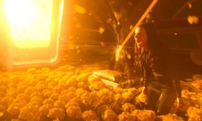 Abused Fans Lash Out Over Review Bombing Accusations, Hit The Wrong Target