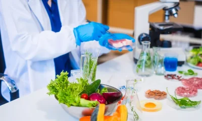 SternMaid America to focus on contract manufacturing, ingredients