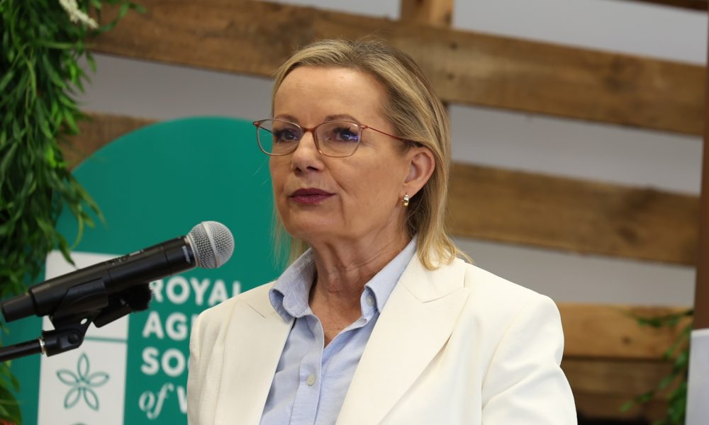 Ley resigns from parliament, triggering by-election