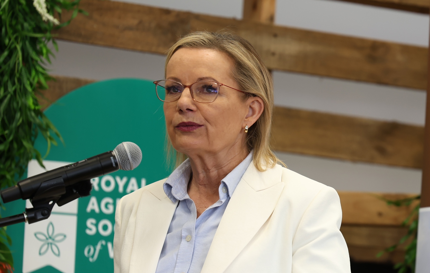 Ley resigns from parliament, triggering by-election