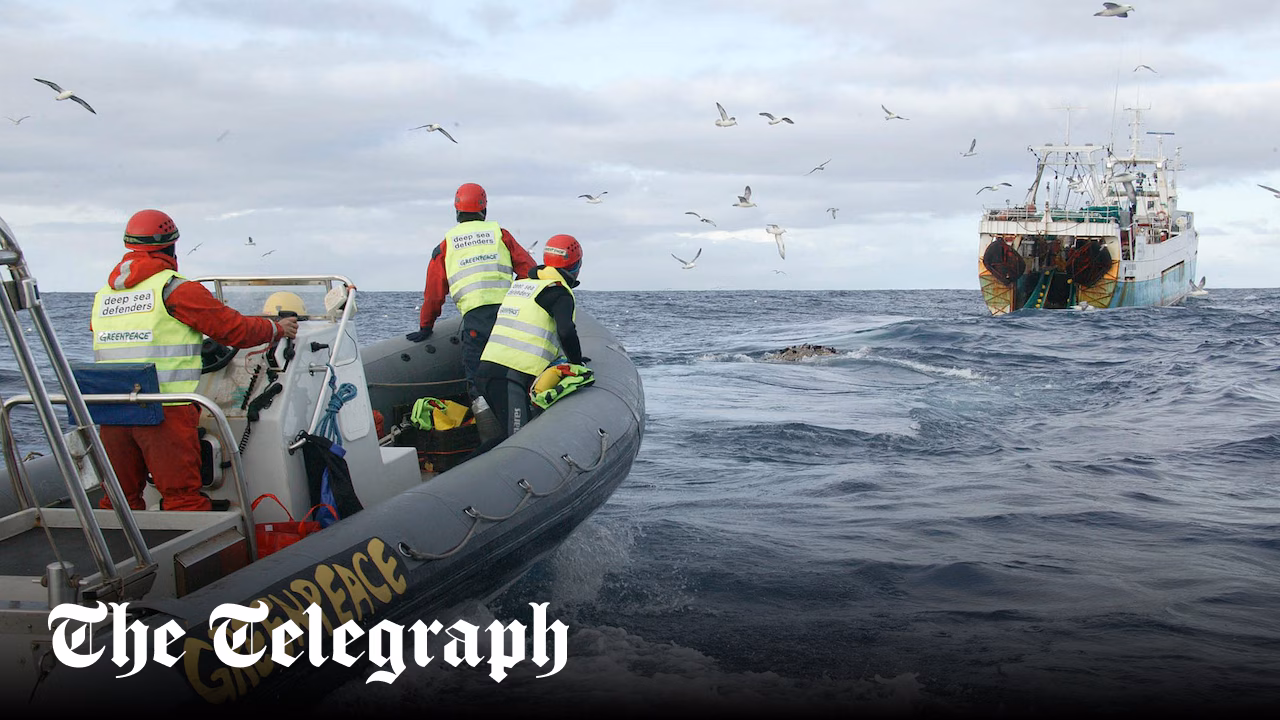 Shark shortage sparks vaccine supply fears