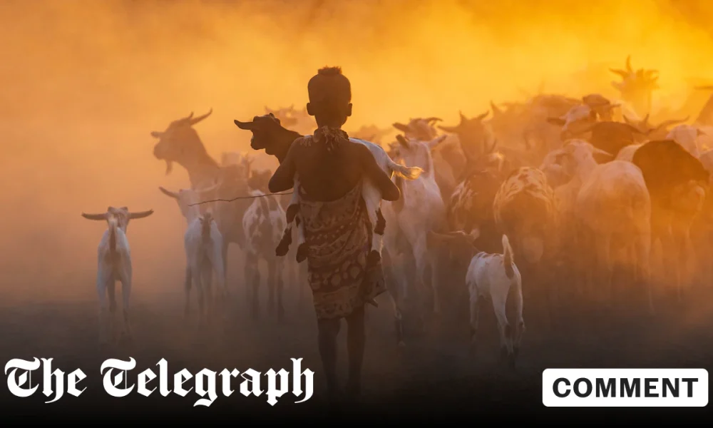 To truly beat sleeping sickness we need to treat animals too