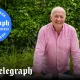 Rick Stein answers your questions on his kitchen essentials, air fryers and his favourite fish