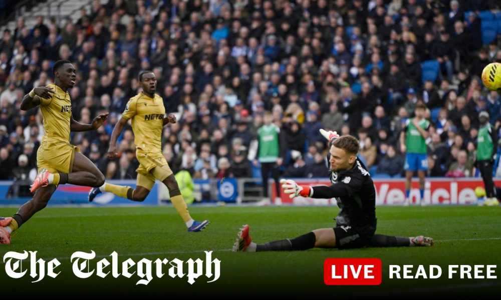 Brighton fans turn on Hurzeler after defeat by bitter rivals Palace