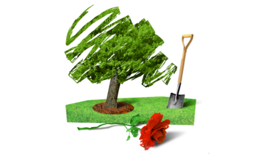 Emma Best: Wets, nutters and everything in between