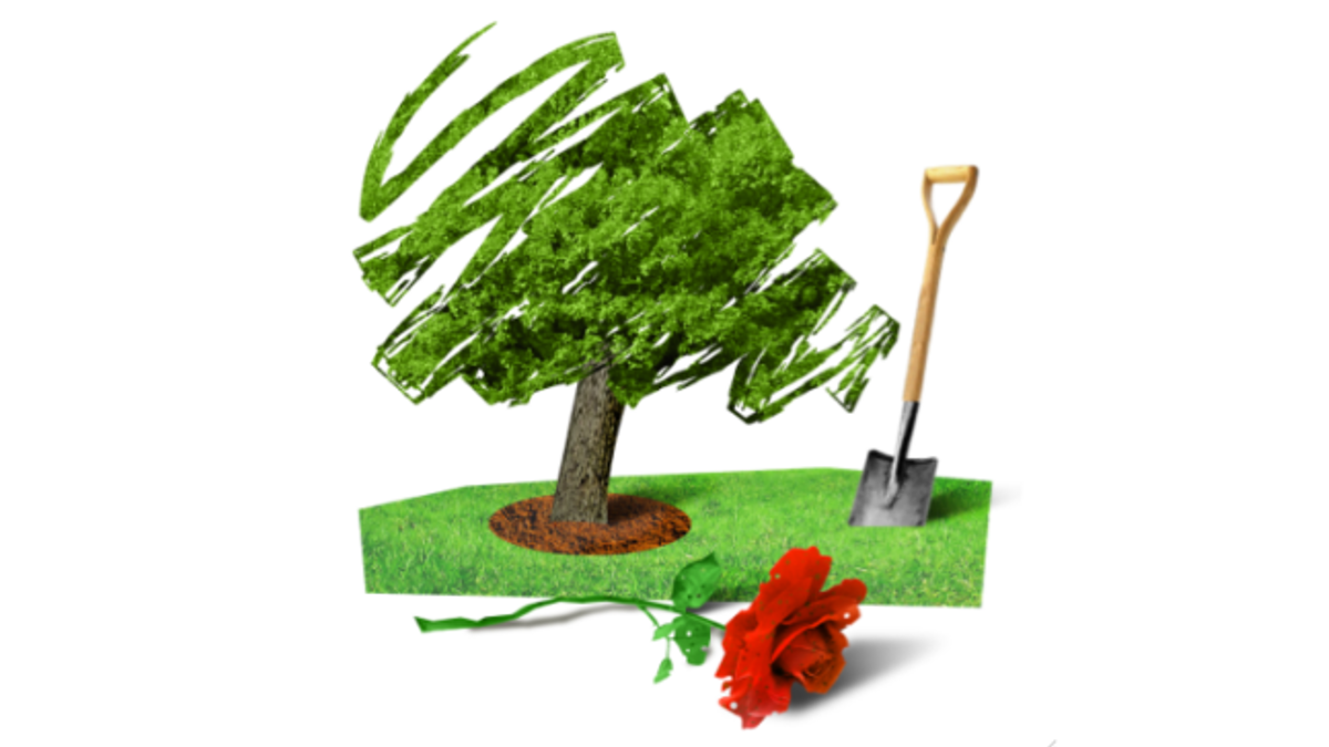 Emma Best: Wets, nutters and everything in between