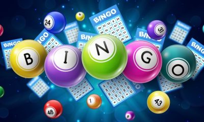 What Has Made Online Bingo Sites Successful?