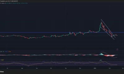 Monero price has confirmed a falling wedge pattern on the daily chart.