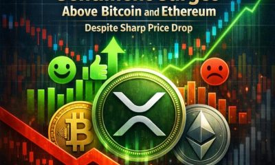 Crypto Breaking News