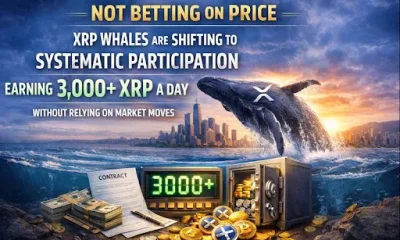 XRP whales shift to systematic participation, earning 3,000+ XRP a day without relying on market moves - 1