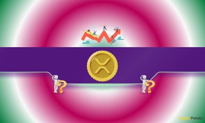 XRP Bull Buys the Dip as Ripple's Price Gets Obliterated by 22% in Just 1 Day